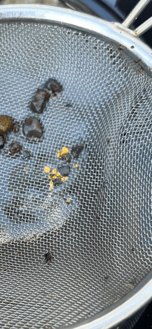 Pickers from a cleanout