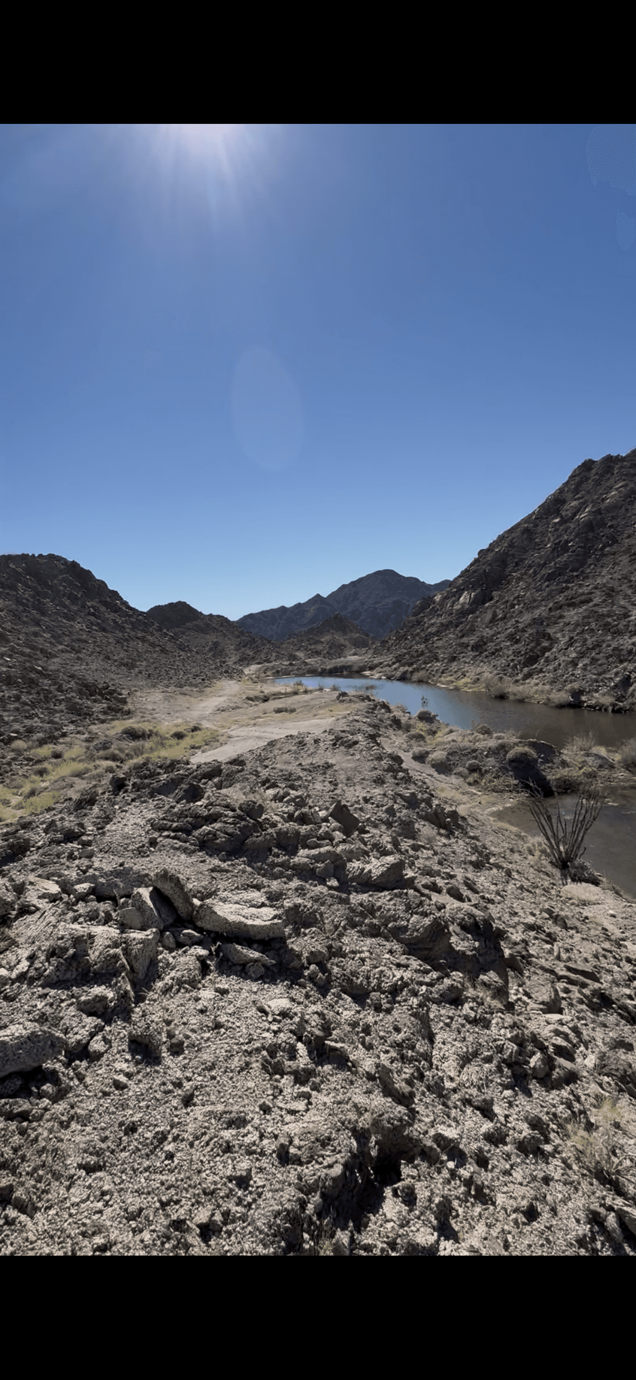 Araz holding pond background