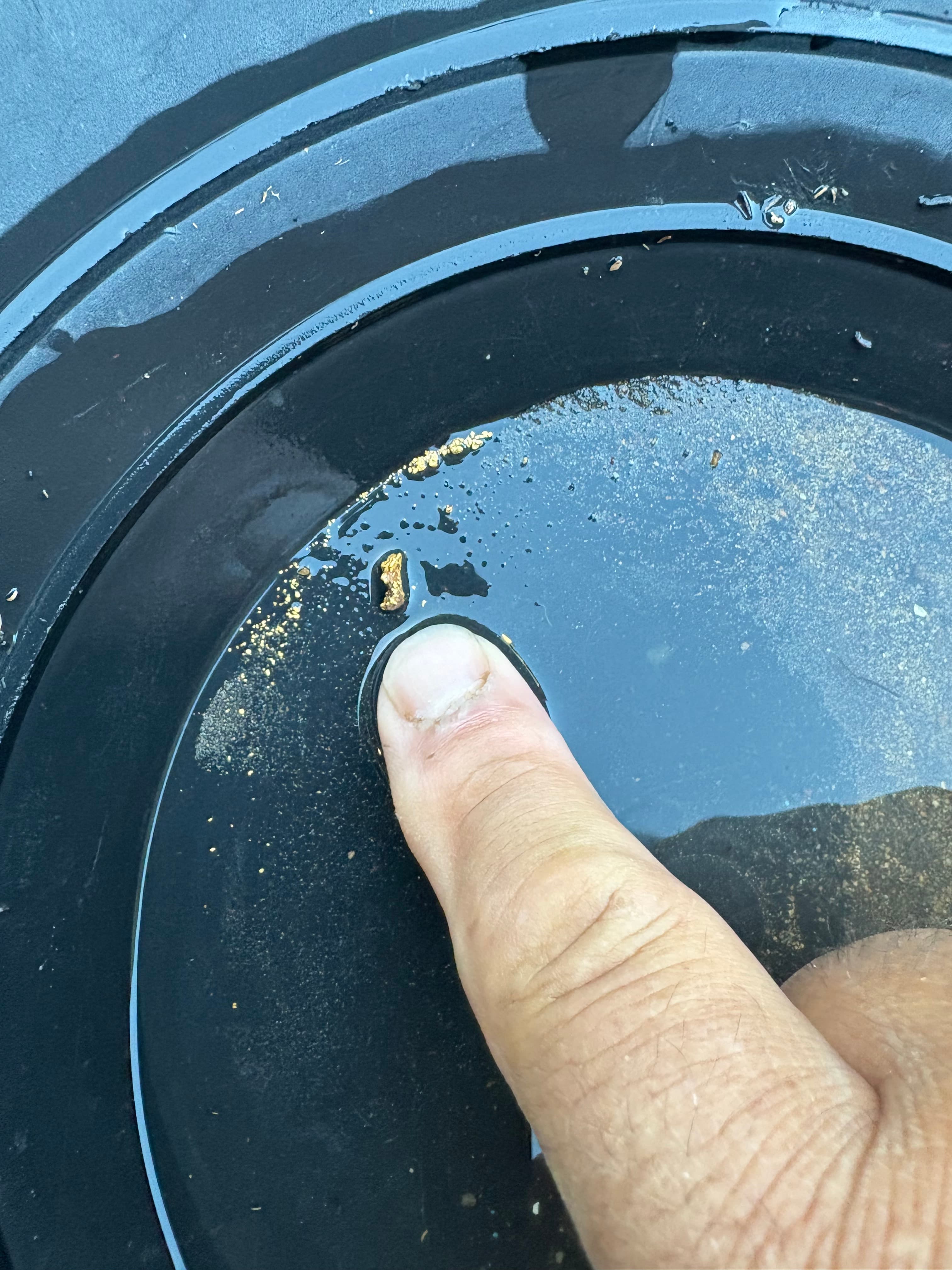 Big Bear Claim: July 2025